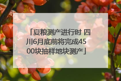 夏粮测产进行时 四川6月底前将完成4500块抽样地块测产