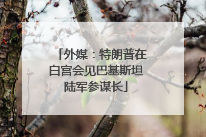 外媒：特朗普在白宫会见巴基斯坦陆军参谋长