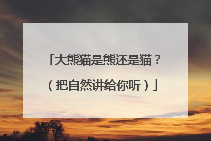 大熊猫是熊还是猫？（把自然讲给你听）
