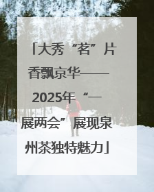 大秀“茗”片 香飘京华——2025年“一展两会”展现泉州茶独特魅力