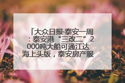大众日报·泰安一周：泰安港“三改二”2000吨大船可通江达海上头版，泰安房产服务改革经验全省推广