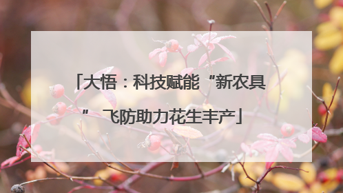 大悟：科技赋能“新农具” 飞防助力花生丰产
