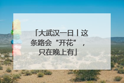 大武汉一日丨这条路会“开花”，只在晚上有