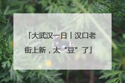 大武汉一日︱汉口老街上新，太“豆”了