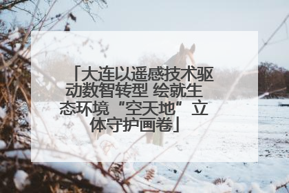 大连以遥感技术驱动数智转型 绘就生态环境“空天地”立体守护画卷
