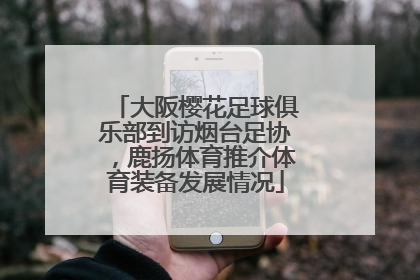 大阪樱花足球俱乐部到访烟台足协，鹿扬体育推介体育装备发展情况