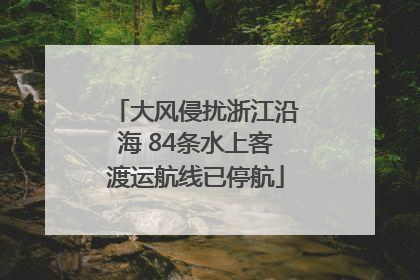 大风侵扰浙江沿海 84条水上客渡运航线已停航