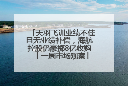天羽飞训业绩不佳且无业绩补偿，海航控股仍豪掷8亿收购丨一周市场观察