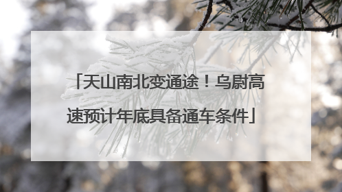 天山南北变通途！乌尉高速预计年底具备通车条件