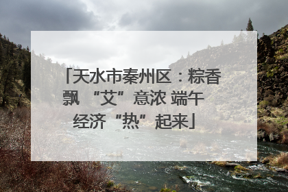 天水市秦州区：粽香飘 “艾”意浓 端午经济“热”起来