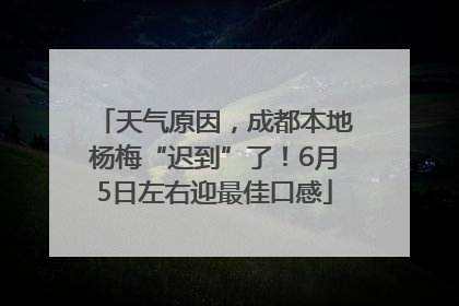 天气原因，成都本地杨梅“迟到”了！6月5日左右迎最佳口感