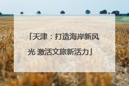 天津：打造海岸新风光 激活文旅新活力