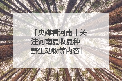 央媒看河南｜关注河南夏收夏种 野生动物等内容