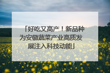 好吃又高产！新品种为安徽蔬菜产业高质发展注入科技动能