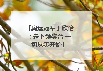 奥运冠军丁欣怡：走下领奖台 一切从零开始