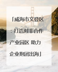 威海市文登区：打造对非合作产业园区 助力企业抱团出海