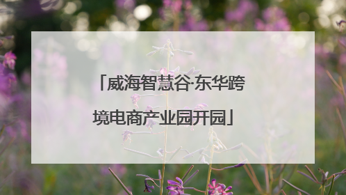 威海智慧谷·东华跨境电商产业园开园