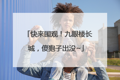快来围观！九眼楼长城，傻狍子出没~