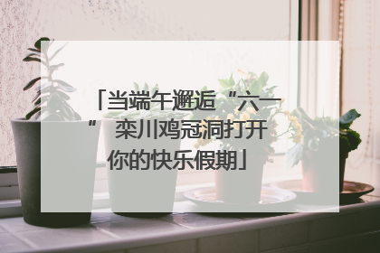当端午邂逅“六一” 栾川鸡冠洞打开你的快乐假期