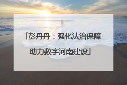 彭丹丹：强化法治保障 助力数字河南建设