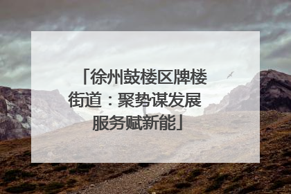 徐州鼓楼区牌楼街道：聚势谋发展 服务赋新能