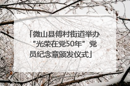 微山县傅村街道举办“光荣在党50年”党员纪念章颁发仪式