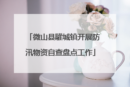 微山县驩城镇开展防汛物资自查盘点工作