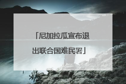 尼加拉瓜宣布退出联合国难民署