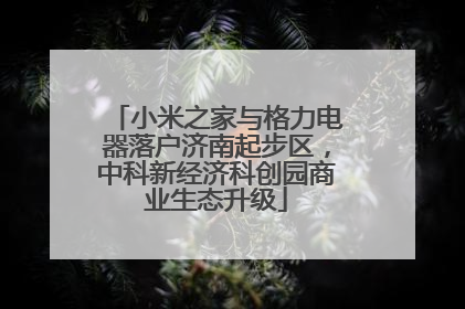 小米之家与格力电器落户济南起步区，中科新经济科创园商业生态升级
