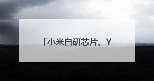 小米自研芯片、YU7齐发布！相关话题霸占热搜榜，雷军一夜涨粉超20万