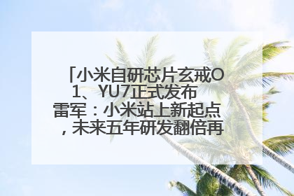 小米自研芯片玄戒O1、YU7正式发布 雷军：小米站上新起点，未来五年研发翻倍再投2000亿元