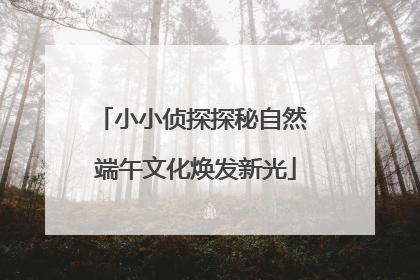 小小侦探探秘自然 端午文化焕发新光