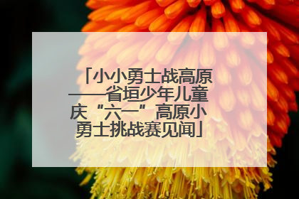 小小勇士战高原——省垣少年儿童庆“六一”高原小勇士挑战赛见闻