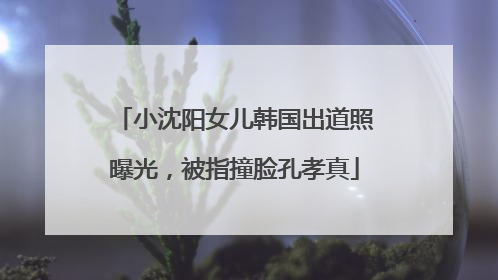 小沈阳女儿韩国出道照曝光，被指撞脸孔孝真
