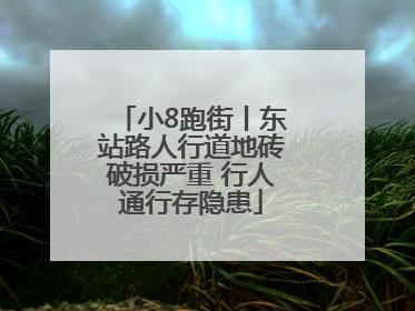 小8跑街丨东站路人行道地砖破损严重 行人通行存隐患
