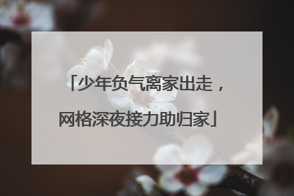 少年负气离家出走，网格深夜接力助归家