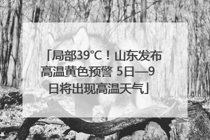 局部39℃！山东发布高温黄色预警 5日—9日将出现高温天气