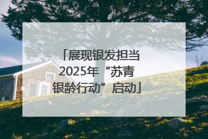 展现银发担当 2025年“苏青银龄行动”启动