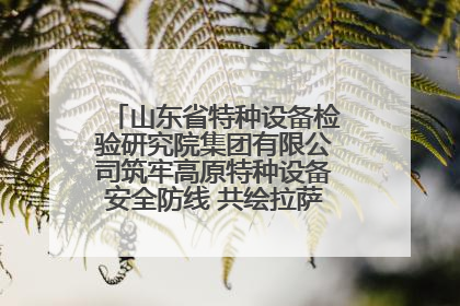 山东省特种设备检验研究院集团有限公司筑牢高原特种设备安全防线 共绘拉萨美好生活画卷