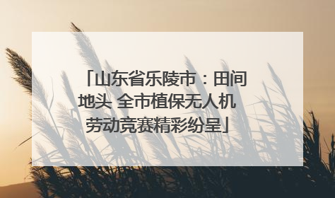 山东省乐陵市：田间地头 全市植保无人机劳动竞赛精彩纷呈