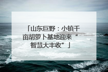 山东巨野：小镇千亩胡萝卜基地迎来“智慧大丰收”