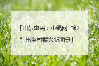 山东惠民：小绳网“织”出乡村振兴新图景