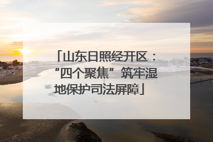 山东日照经开区：“四个聚焦”筑牢湿地保护司法屏障