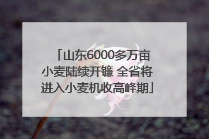 山东6000多万亩小麦陆续开镰 全省将进入小麦机收高峰期