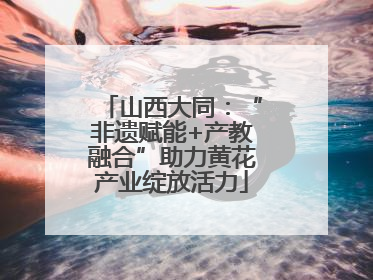 山西大同：“非遗赋能+产教融合”助力黄花产业绽放活力