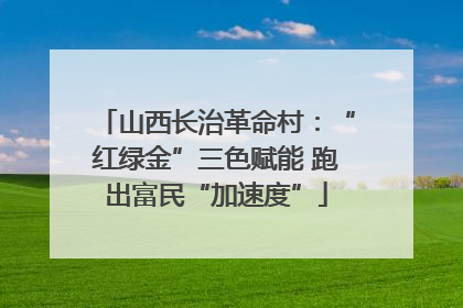 山西长治革命村：“红绿金”三色赋能 跑出富民“加速度”