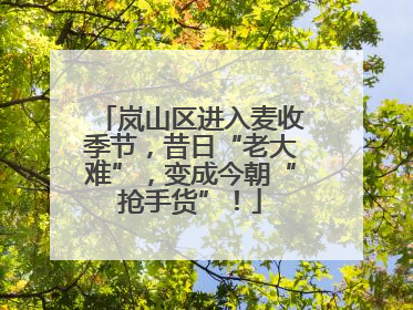 岚山区进入麦收季节，昔日“老大难”，变成今朝“抢手货”！