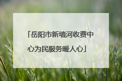 岳阳市新墙河收费中心为民服务暖人心