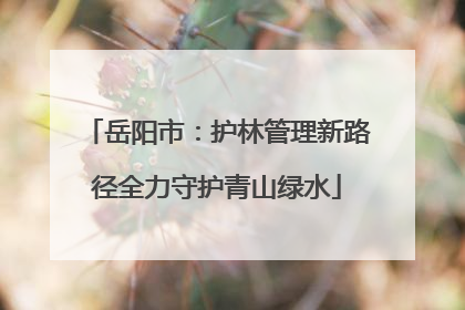 岳阳市：护林管理新路径全力守护青山绿水