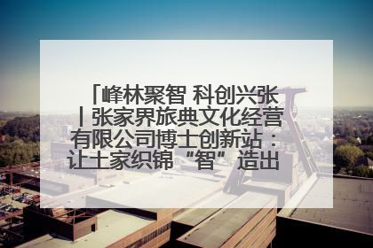 峰林聚智 科创兴张丨张家界旅典文化经营有限公司博士创新站：让土家织锦“智”造出非遗新传奇